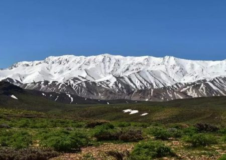 قالی کوه الیگودرز