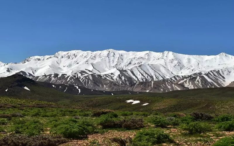 قالی کوه الیگودرز